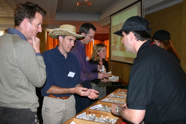 Competitive Team Building Activity
